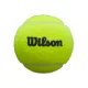 Wilson Premier Padel Speed Balls – 3-Ball Tube - image 2